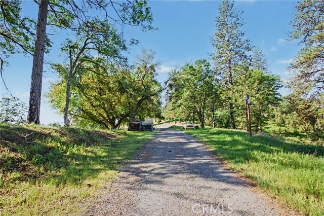 Image 20 of 36 For 3029 Freshwater