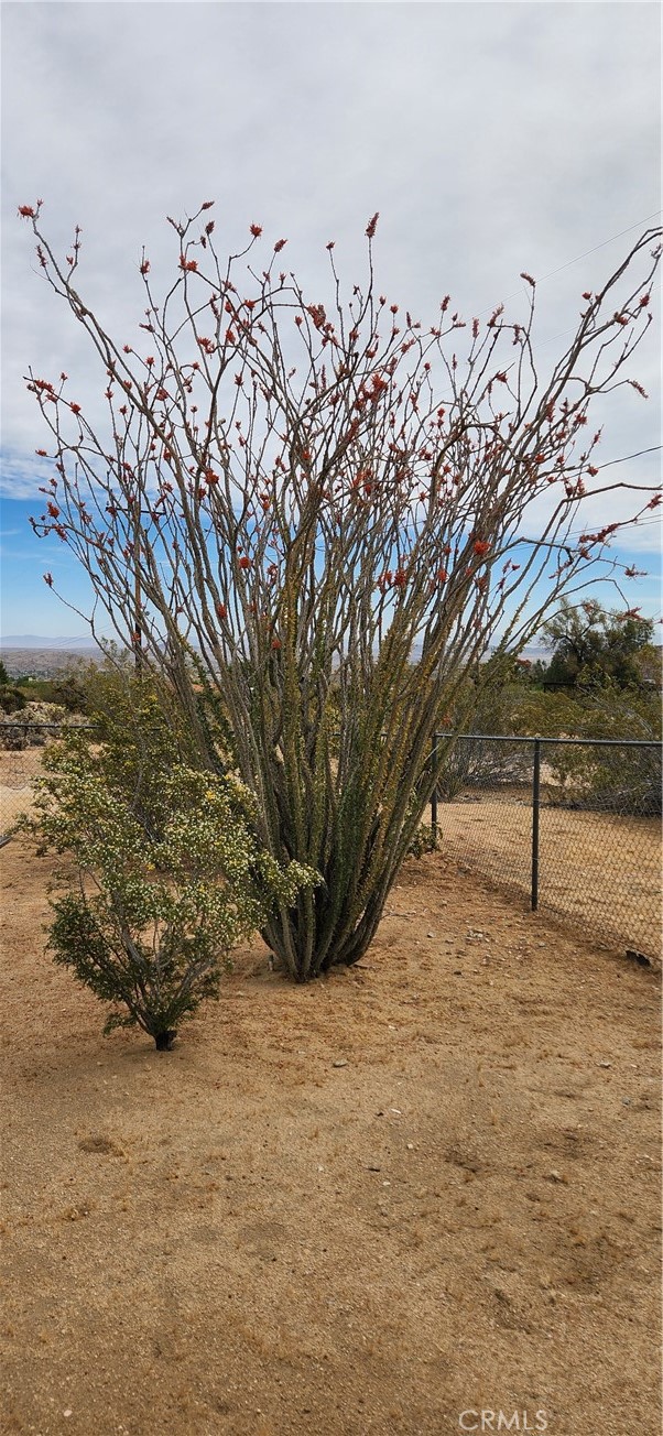 Detail Gallery Image 34 of 40 For 61476 Sandalwood Trl, Joshua Tree,  CA 92252 - 2 Beds | 2 Baths