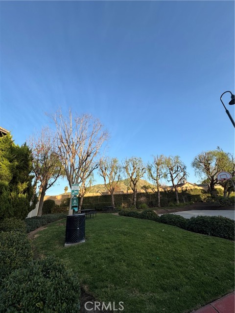 Detail Gallery Image 56 of 59 For 22327 Blue Lupine, Grand Terrace,  CA 92313 - 3 Beds | 2/1 Baths