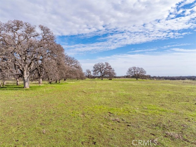 Detail Gallery Image 6 of 23 For 16620 Paskenta Rd, Corning,  CA 96021 - 2 Beds | 2 Baths