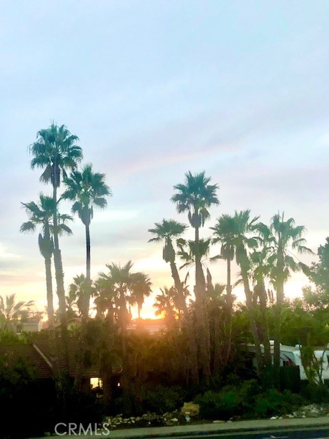 MLS #OC24194310 img 1