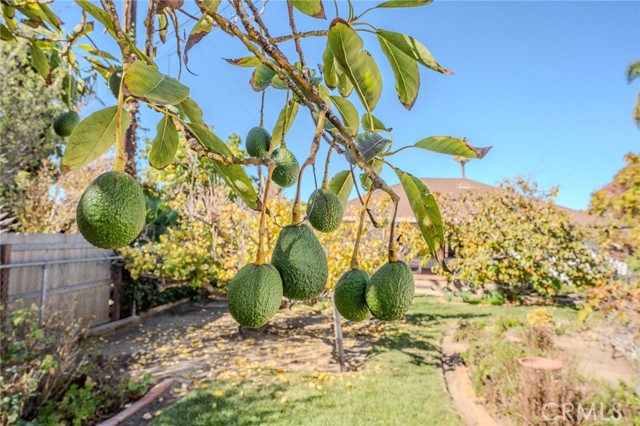 Detail Gallery Image 46 of 63 For 219 W Esplanade, San Clemente,  CA 92672 - 2 Beds | 2 Baths