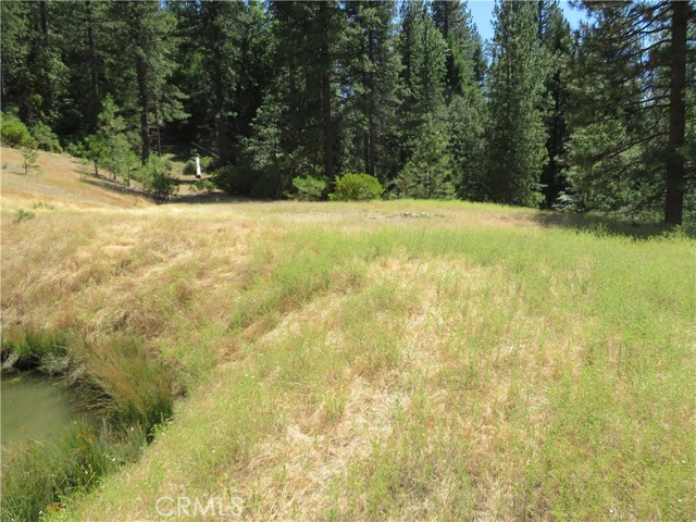 0 Barns Ranch Road, Covelo, California 95428, ,Land,For Sale,0 Barns Ranch Road,CRSN23031018