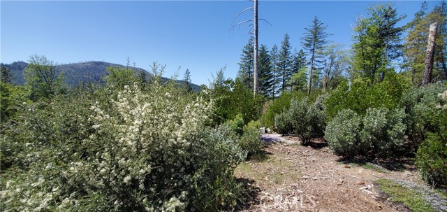 Detail Gallery Image 2 of 9 For 11150 Oak St, Cobb,  CA 95426 - – Beds | – Baths