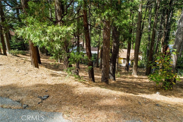 0 Crest Forest Drive, Crestline, California 92325, ,Land,For Sale,0 Crest Forest Drive,CRCV24039397