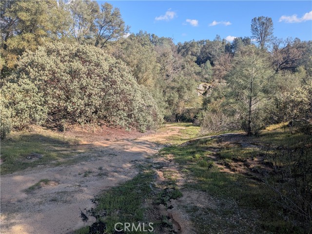 Detail Gallery Image 23 of 25 For 4181 Burl, Mariposa,  CA 95338 - – Beds | – Baths