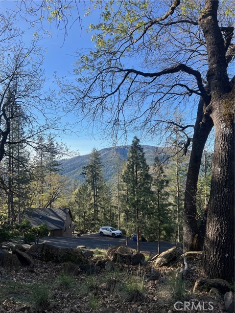 Detail Gallery Image 41 of 53 For 9591 Lassen Dr, Cobb,  CA 95426 - 3 Beds | 2 Baths