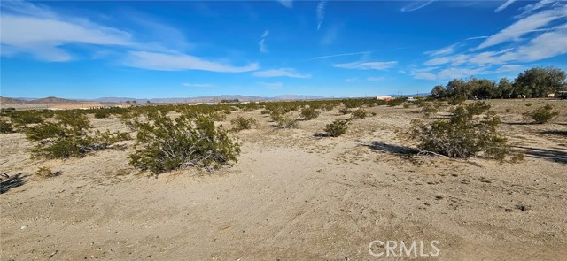 Detail Gallery Image 5 of 6 For 800 Desert Queen, Twentynine Palms,  CA 92277 - – Beds | – Baths