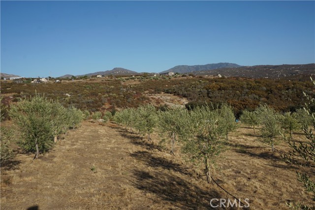 Detail Gallery Image 36 of 42 For 35156 Hobbiton Rd, Hemet,  CA 92544 - 3 Beds | 2 Baths