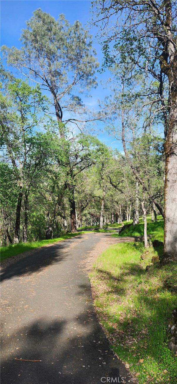 Detail Gallery Image 6 of 23 For 13566 Helltown Parcel 1, Chico,  CA 95928 - – Beds | – Baths