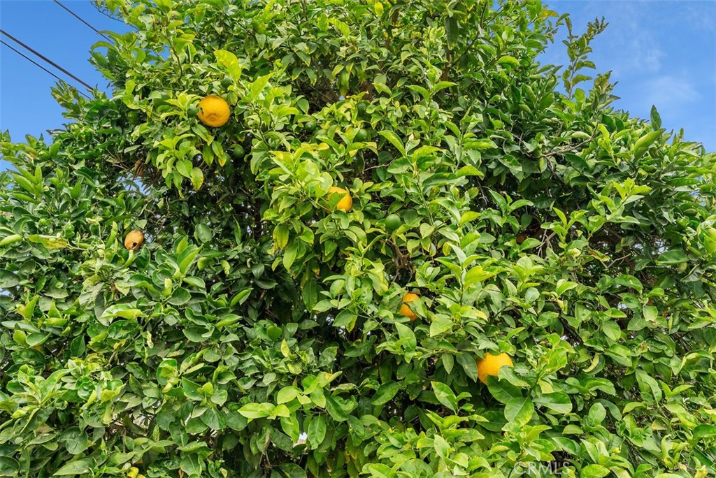 https://media.crmls.org/medias/fffad7f5-e78f-452d-ab3e-66106b2655f4.jpg?preset=X-Large
