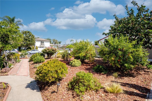 13358 Hartland Street photo 4