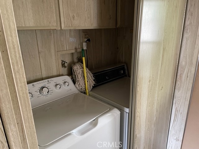 2175 Pavo photo 2
