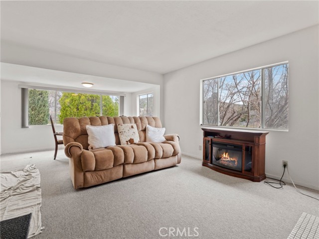 front hosue living room and fireplaces