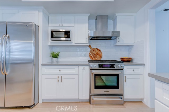 Kitchen stove and fridge