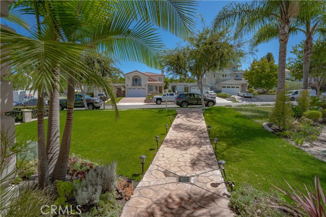 View From Front Door