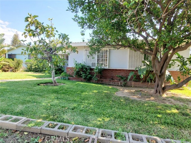 14656 Alexander Street photo 2