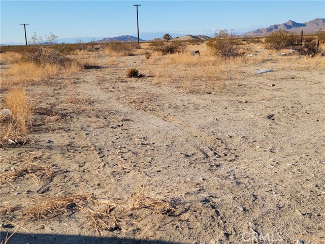 Image 11 of 19 For 39601 220th Street