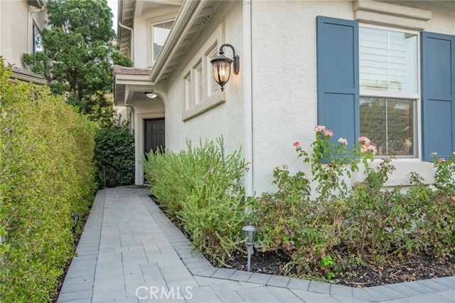 2885 Blazing Star Drive photo 6