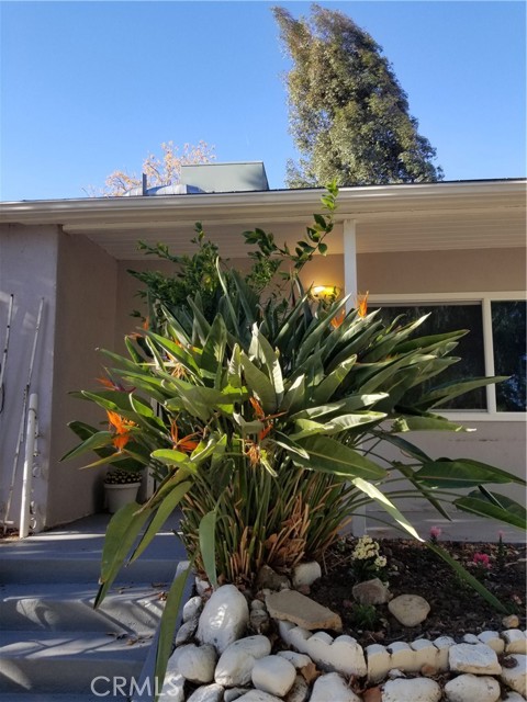 3 Bed Home for Sale in Val Verde, California