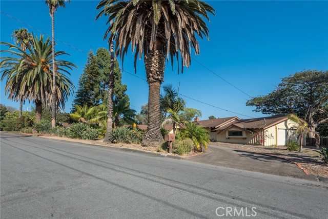 46 Vientos Road photo 6