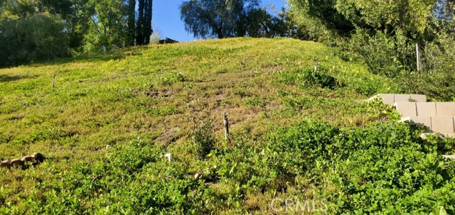 22731 Pera Road photo 47