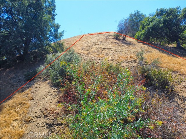 1 Kagel Canyon Road photo 6