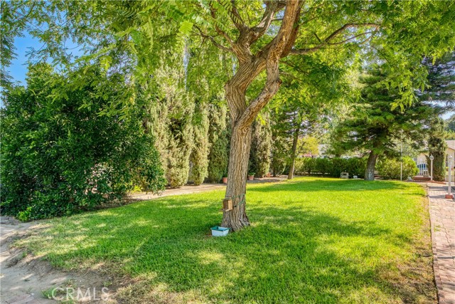 209 South Orchard Drive photo 8