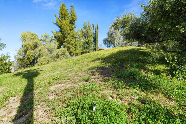 22731 Pera Road photo 46