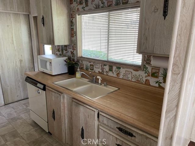 2175 Pavo photo 5