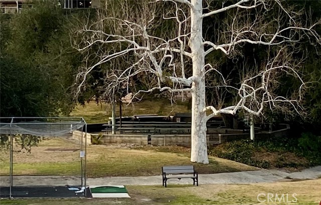 The Gathering Place Surrounded By Trees!