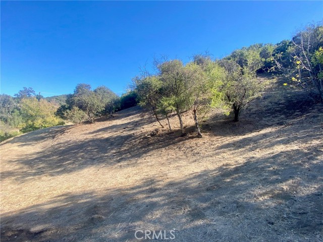 0 Old Topanga Canyon Road, Calabasas, California 90290, ,Land,For Sale,0 Old Topanga Canyon Road,CRSR22193534