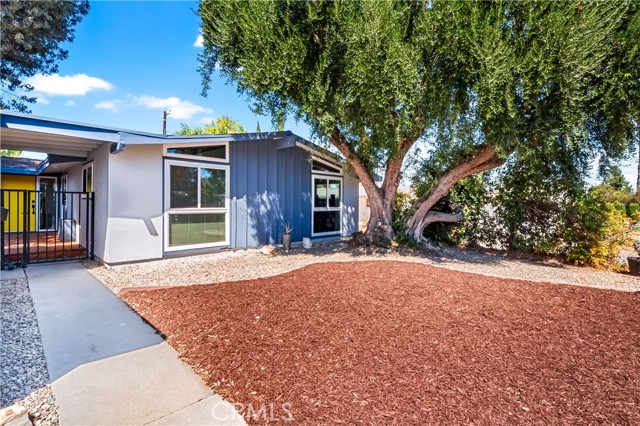 20703 Haynes Street photo 4
