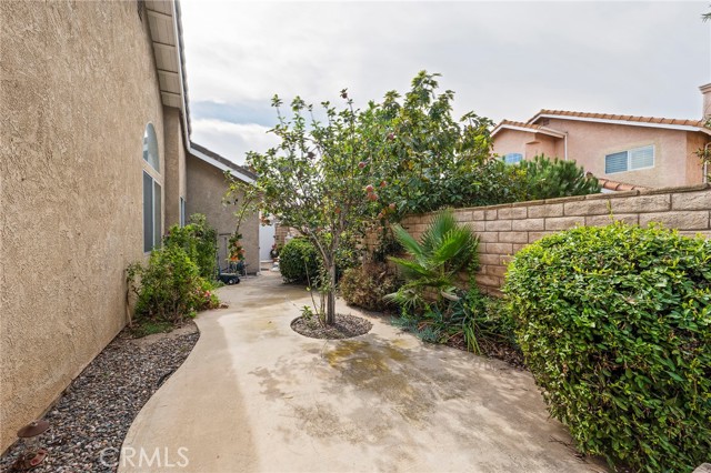 Side Yard with Fruit Trees