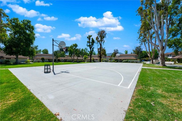 Basketball court