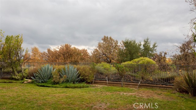 Large Flat Pool Sized Yard