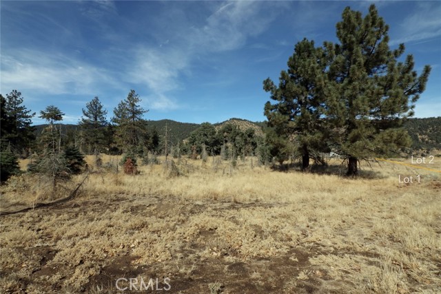 0 Darling, Frazier Park, CA, 93225 0 Darling, Frazier Park, CA, 93225