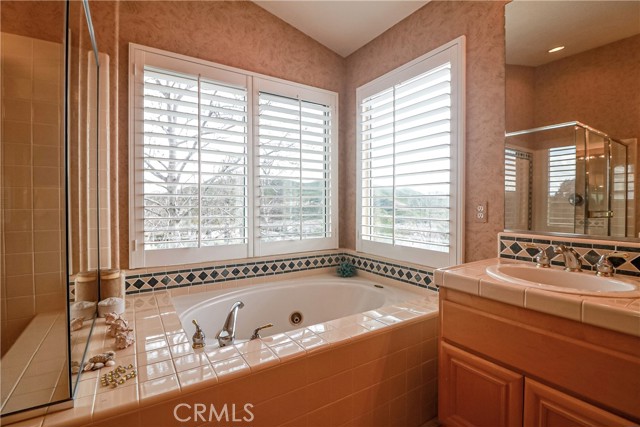 Master Bath with View