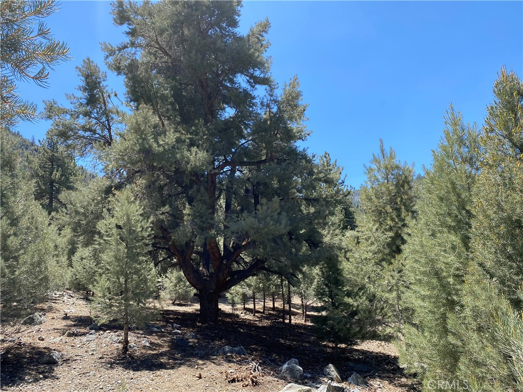 15120 Acacia Way, Pine Mountain Club, CA 93222