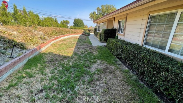 3800 Santa Carlotta Street photo 3