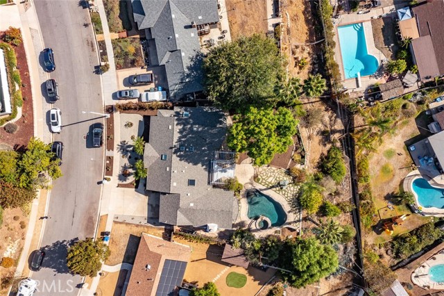 Slope beyond pool has fruit & avocado trees