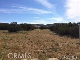 0 Vac/Shannondale Rd/Vic Hannah Court, Acton, CA 93510