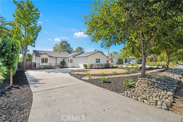 Long driveway with plenty of parking