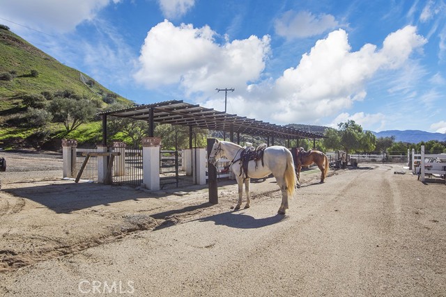 16669 Vasquez Canyon Road, Canyon Country (santa Clarita), California 91351, ,Residential,For Sale,16669 Vasquez Canyon Road,CRSR23020039