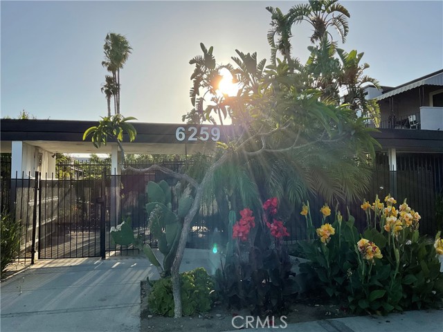 6259 Coldwater Canyon Avenue, 15 photo 1