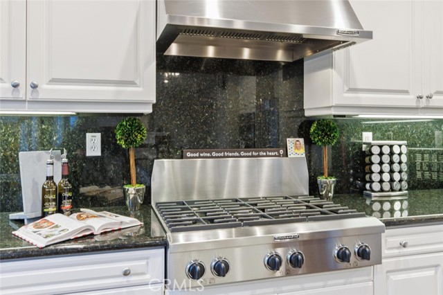 6 burner cooktop and professional vent hood