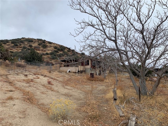 Image 1 of 22 For 33446 Angeles Forest