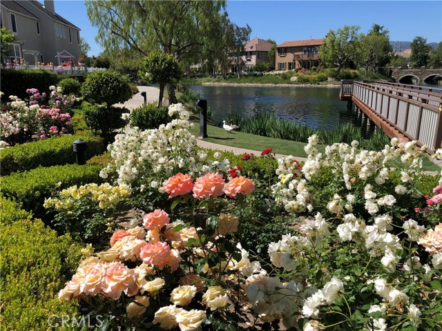 Bridgeport Rose Garden and Pier