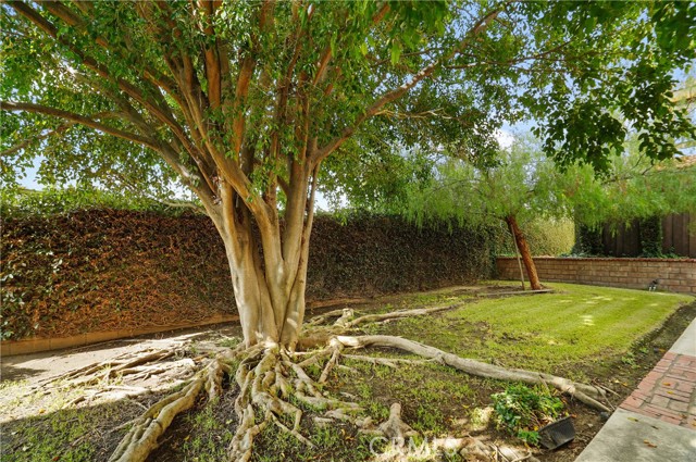 Common Area Landscaping