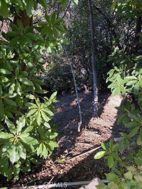 Another view of the backyard area beyond & below pool area